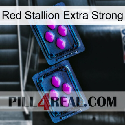 Red Stallion Extra Strong 03